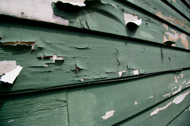 Best Storm Damage Siding Repair  in Mount Vernon, TX